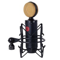 Direct Sound DS60 Microphone